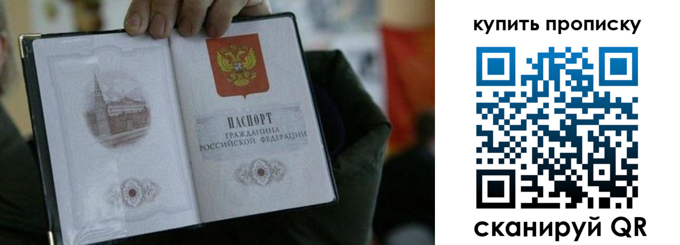 временная регистрация поиск в Данилове